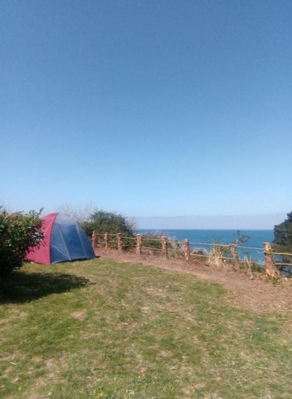Aire De Camping Car, Caravane, Tente Emplacement Nu Avec Electricite Petit Camping Hotel Plestin-les-Grèves Екстериор снимка